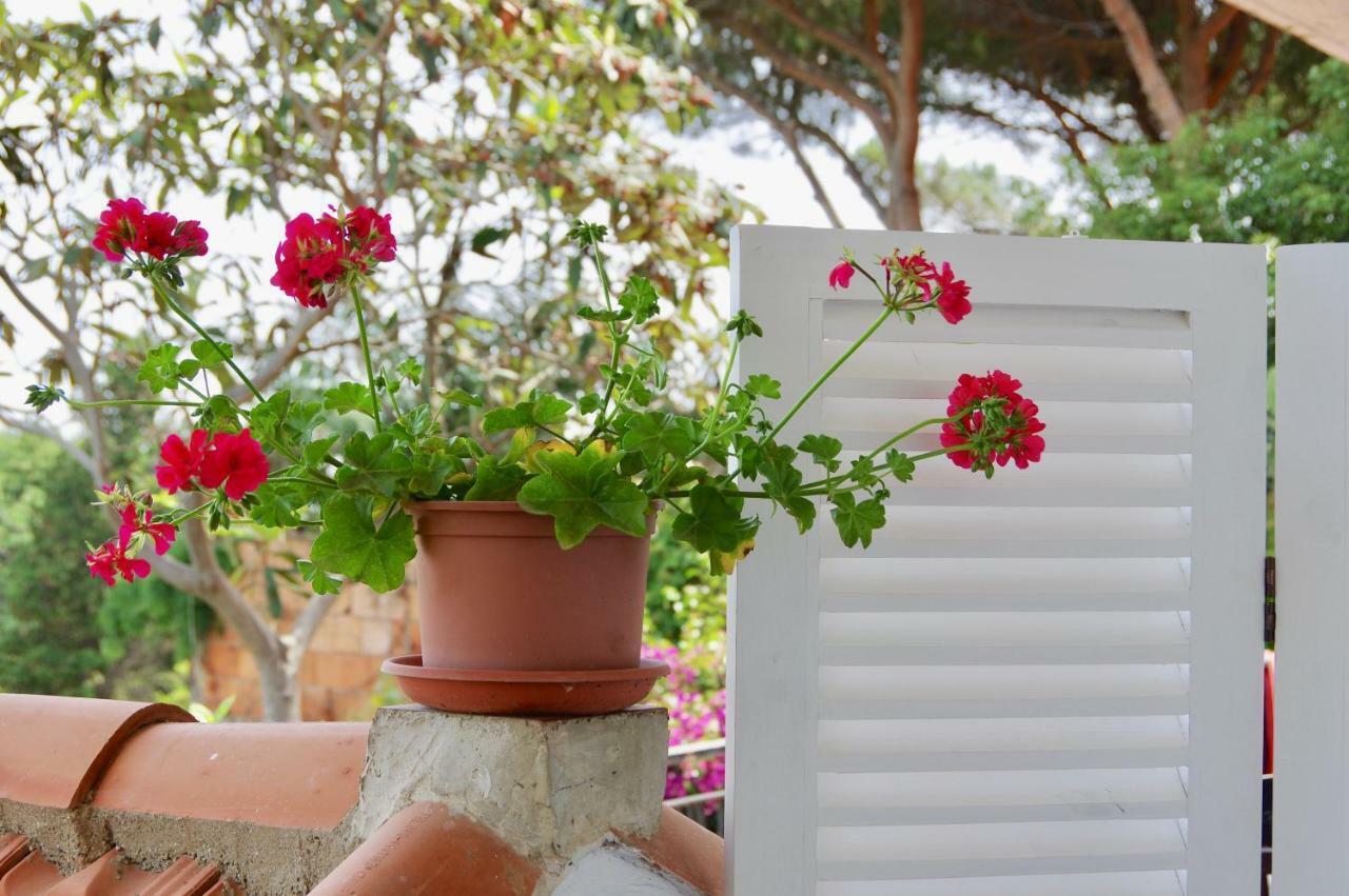 Holiday home Casa Sulla Spiaggia- Mortelle